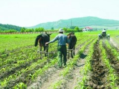 廣東省三調(diào)辦召開(kāi)全省三調(diào)復(fù)核整改工作會(huì)議