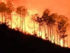 山火面前，測(cè)繪地信能否開啟綠色生命通道