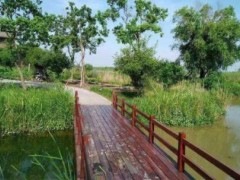 民生地質(zhì)成自然資源產(chǎn)業(yè)新風(fēng)口，去年投資同比增44%