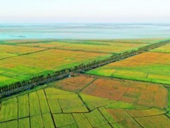 青島市基本完成自然資源數據對照關系 探索建立自然資源管理調查監(jiān)測的“一張底圖”