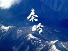 陜西利用測(cè)繪技術(shù)支撐生態(tài)保護(hù) 劃好監(jiān)測(cè)網(wǎng)格 護(hù)衛(wèi)秦嶺生態(tài)