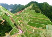 中國(guó)地質(zhì)調(diào)查局礦山生態(tài)保護(hù)修復(fù)技術(shù)中心掛牌